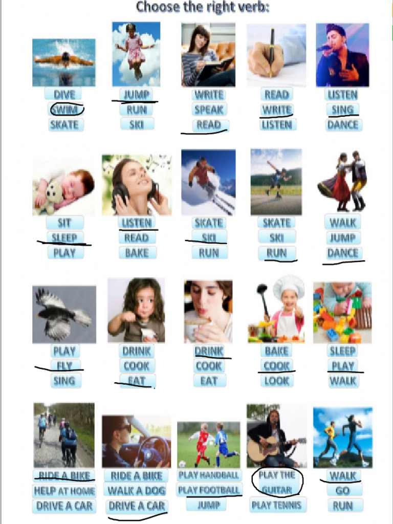 Homework 5 Verbs Pdf