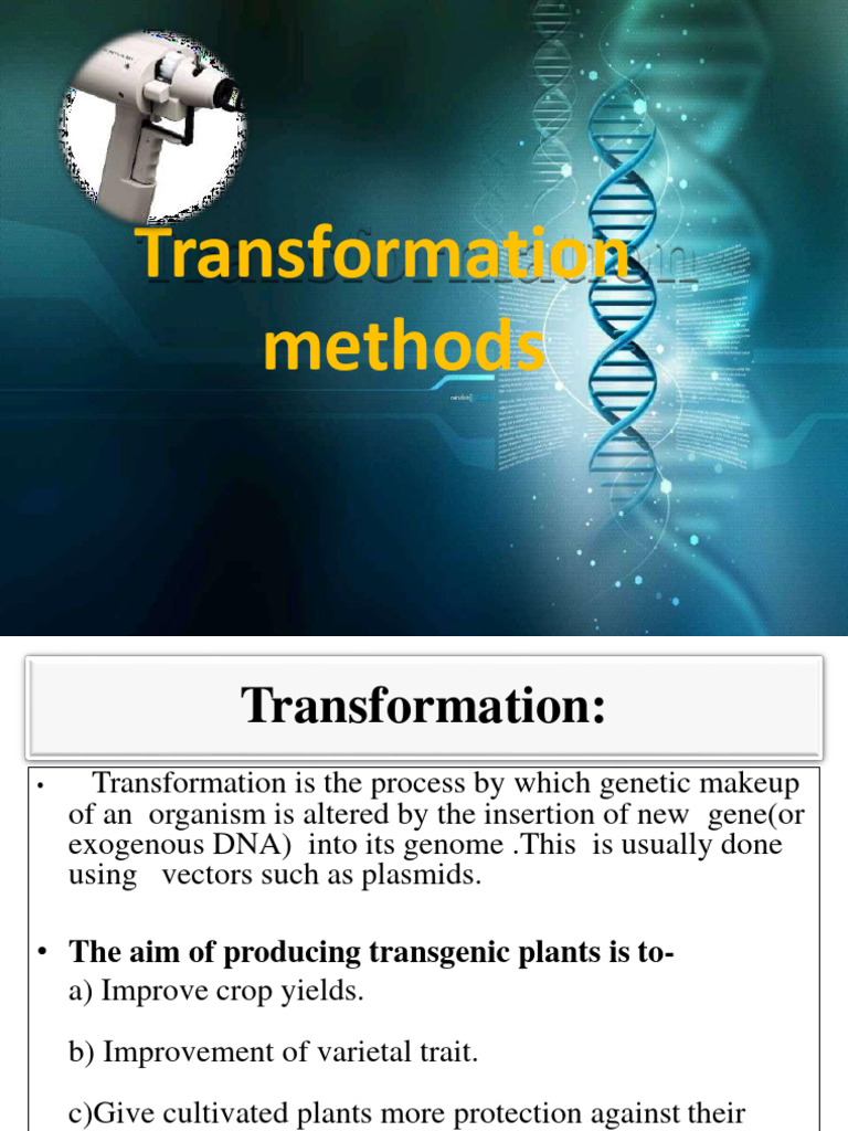 Gene Transformation Techniques Overview | PDF | Transformation ...