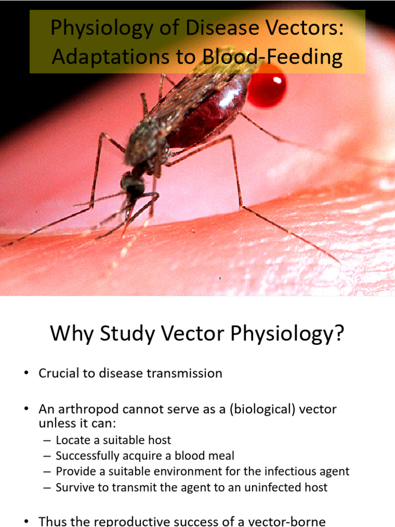 Physiology of Disease Vectors | PDF | Parasitism | Fly