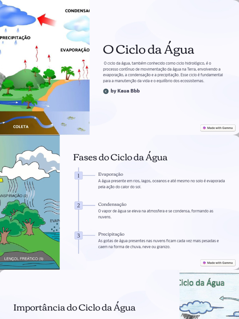 Entenda o Ciclo da Água e sua Importância | PDF
