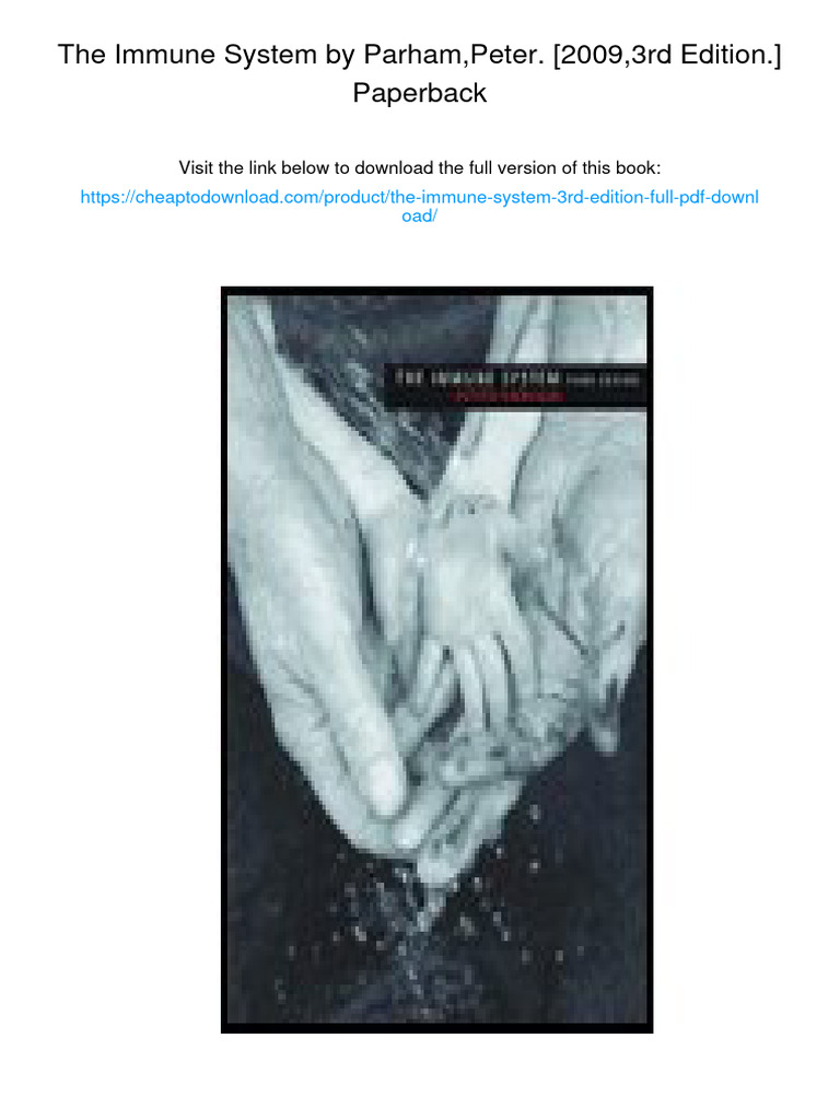 Saint Peter visual data 4