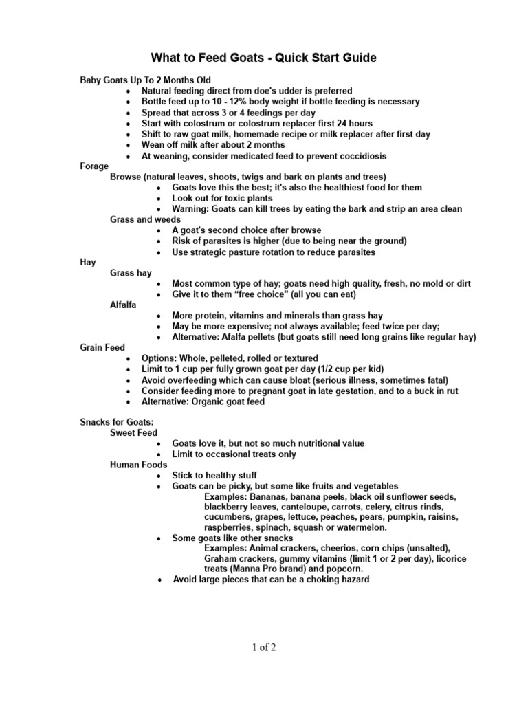 what-to-feed-goats-quick-start-guide-1-pdf-goat-hay