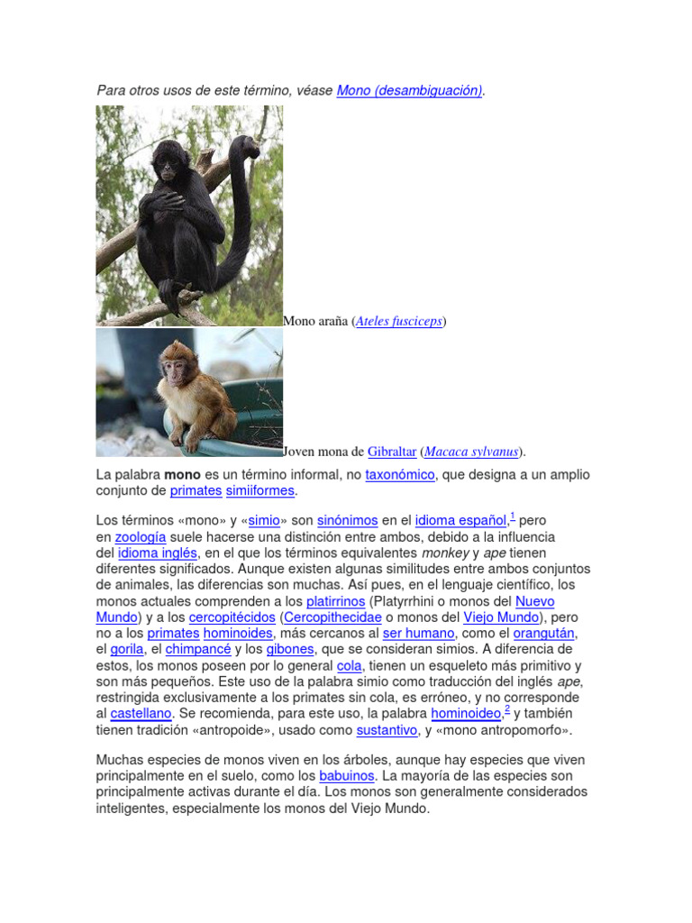 Los Monos | PDF | Mono | Taxonomía de primates