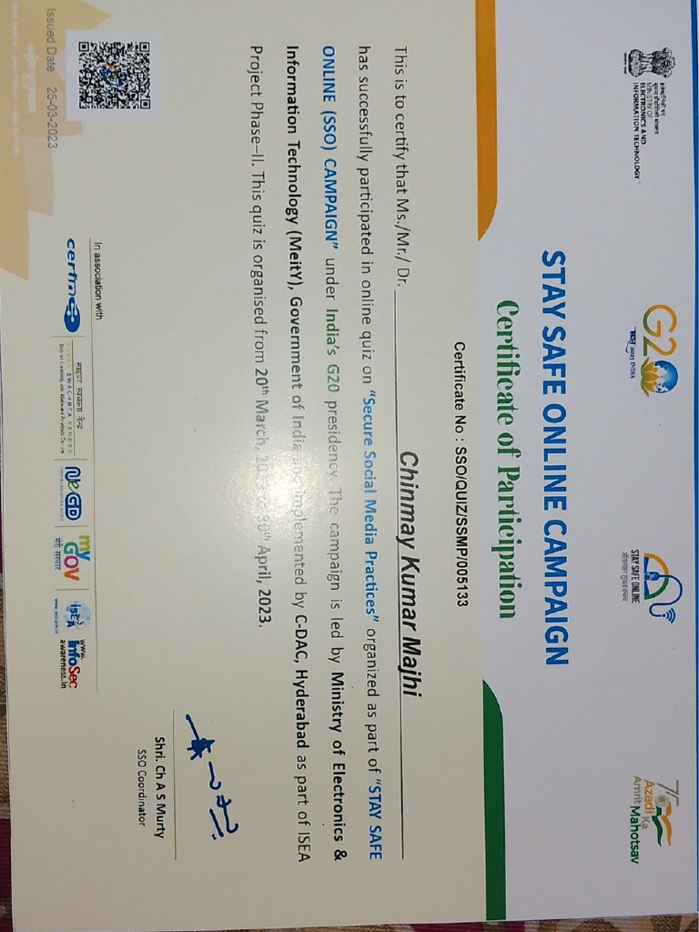 Stay Safe Online Campaign | PDF