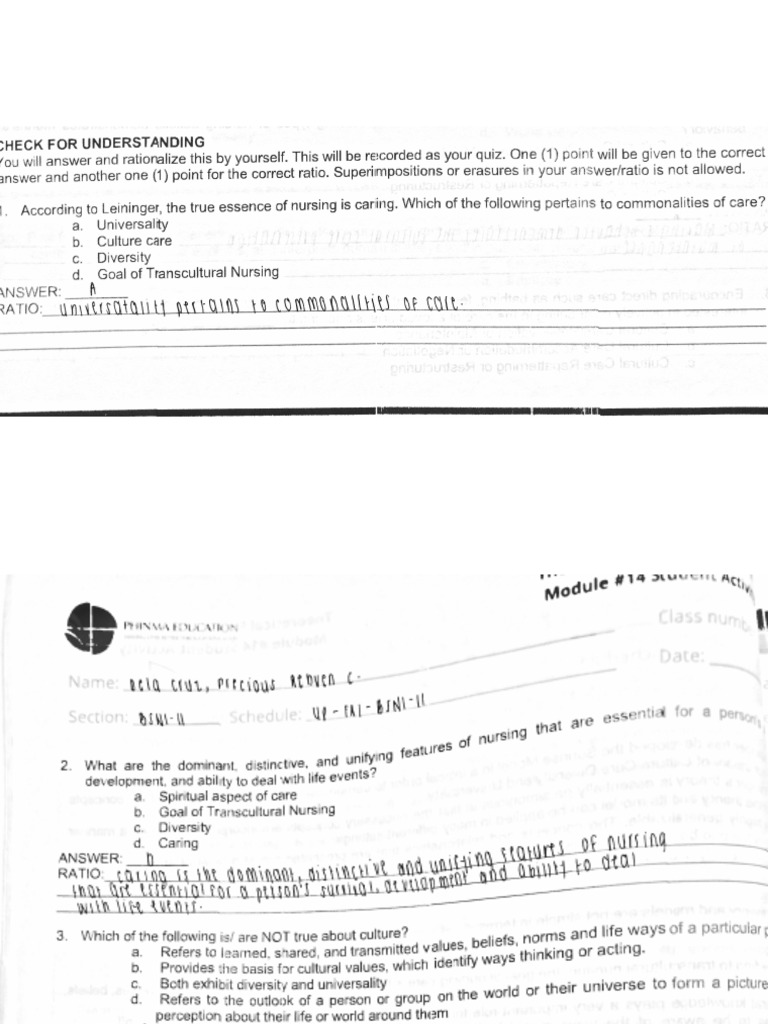 Ccna Response Module 14 Homework