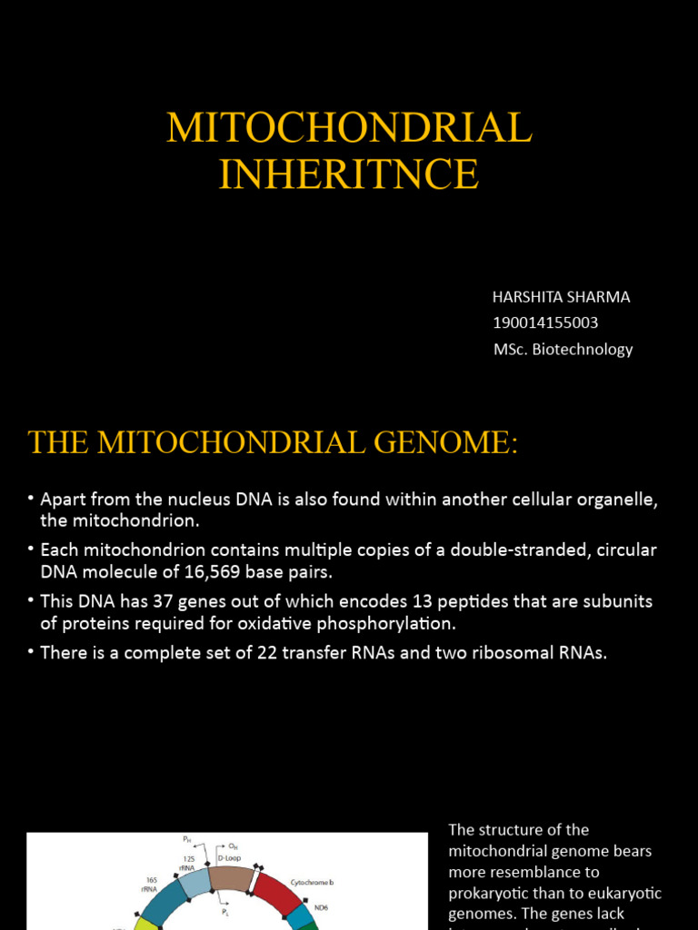 Mitochondrialinheritance 211109112637 | PDF | Mitochondrion ...