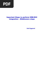 Important Steps To Perform CRM-ECC Int Erg Ration - CRM Middle Ware