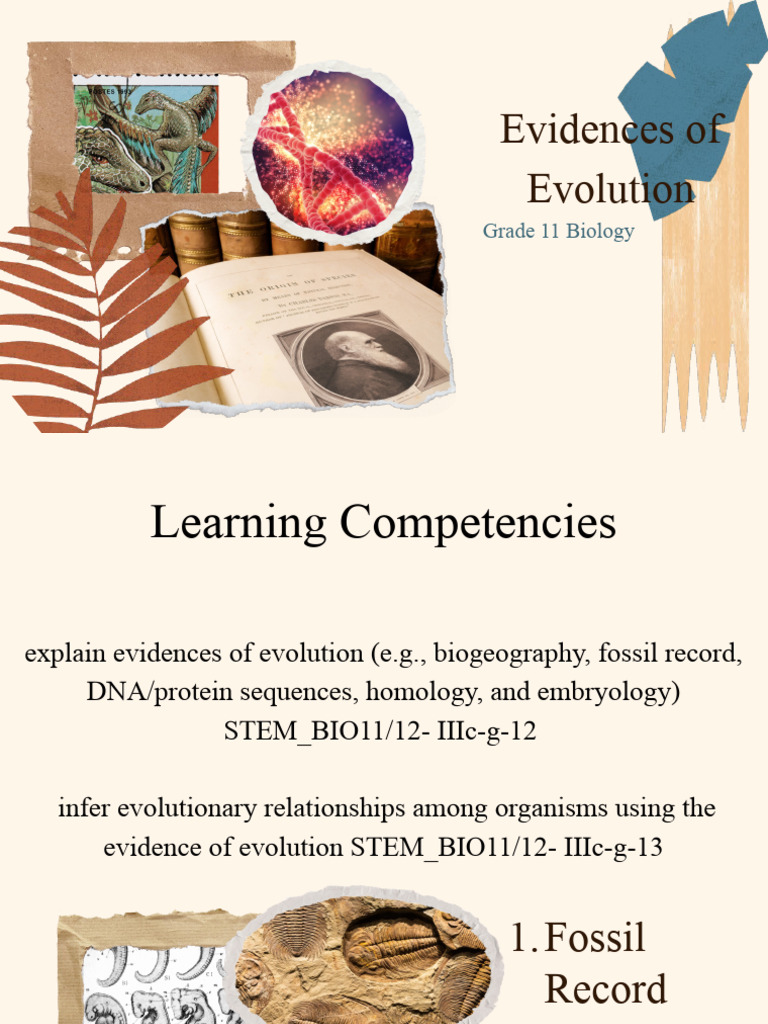 Evidences of Evolution Module 6-7 | PDF | Phylogenetic Tree | Evolution