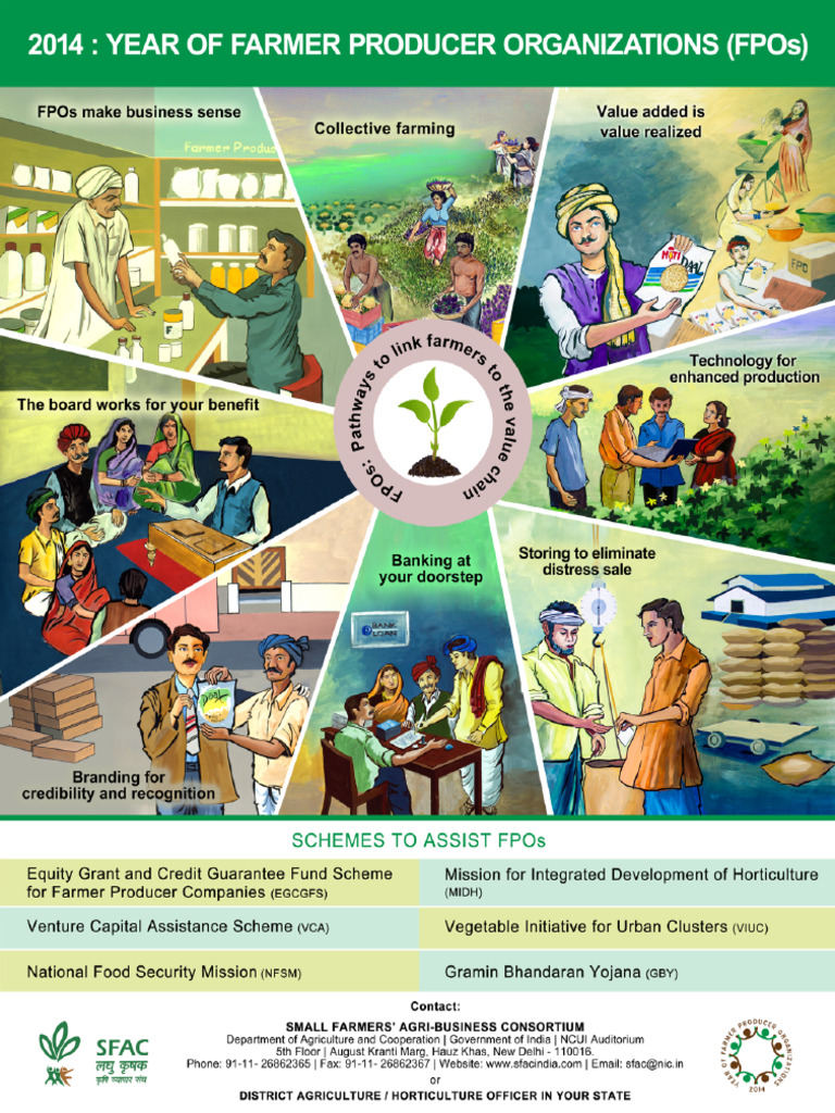 Year Of Fpo Poster Pdf