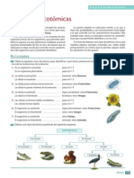 Claves Dicotomicas Procedimiento