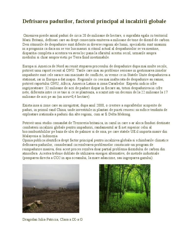 Defrisarea Padurilor | PDF