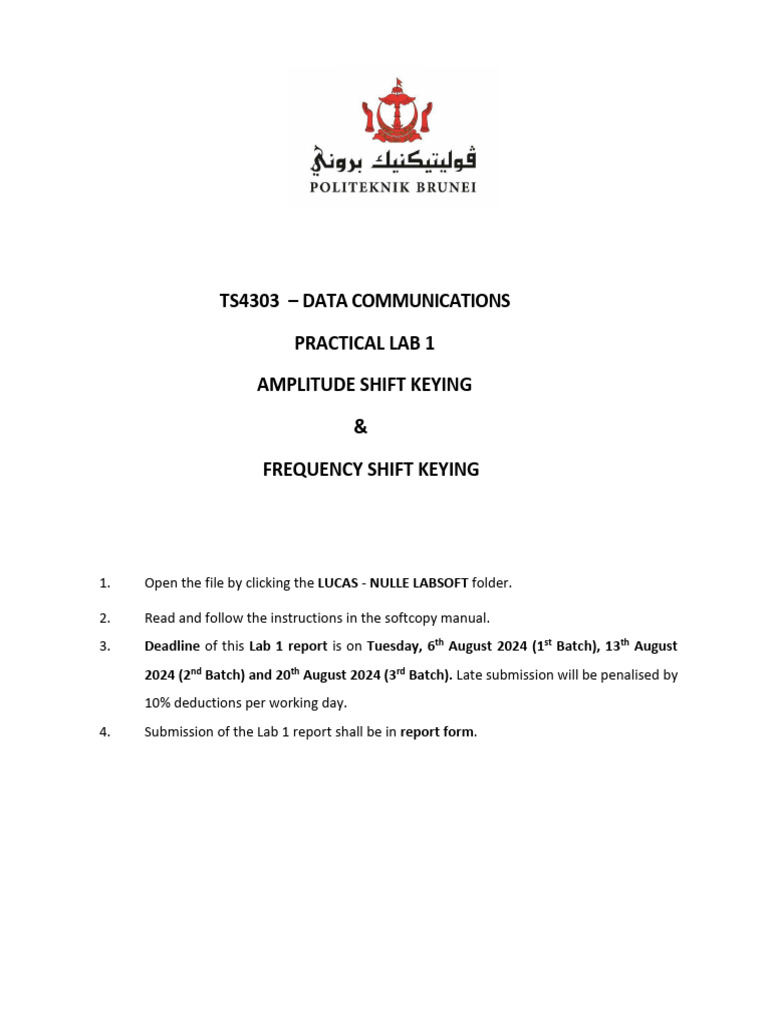 ASK and FSK Lab Report Guide | PDF | Modulation | Frequency Modulation