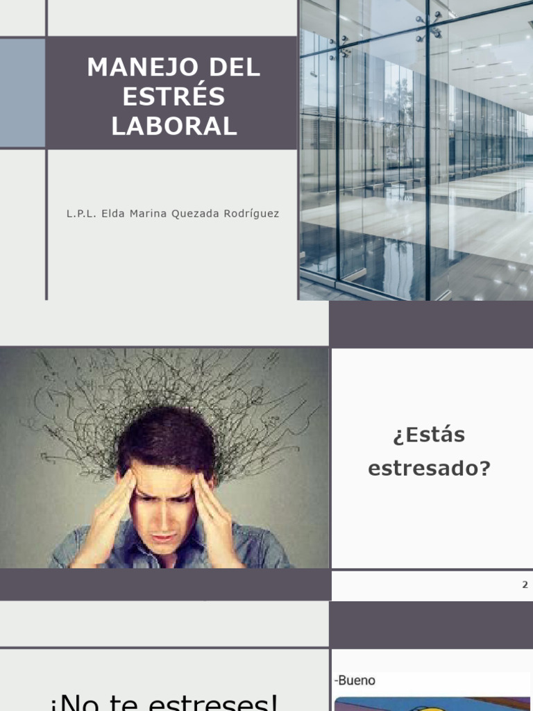 Manejo Del Estrés Laboral | PDF | Estrés (biología) | Sicología