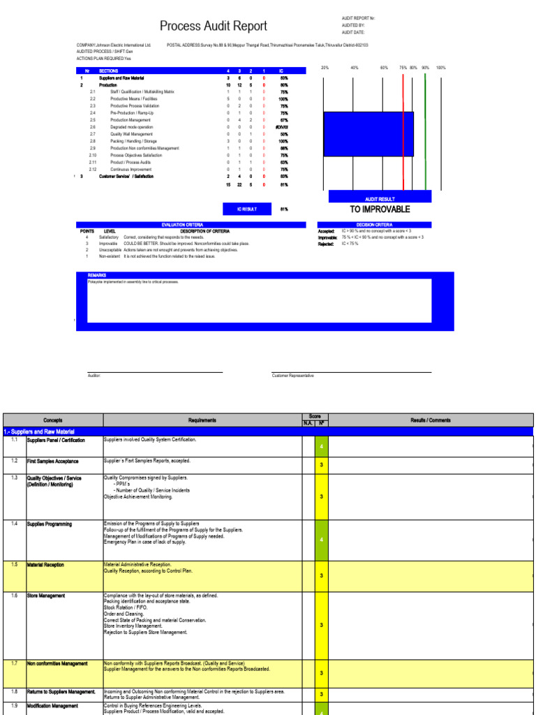 Process Audit Report for Johnson Electric | PDF | Audit | Business