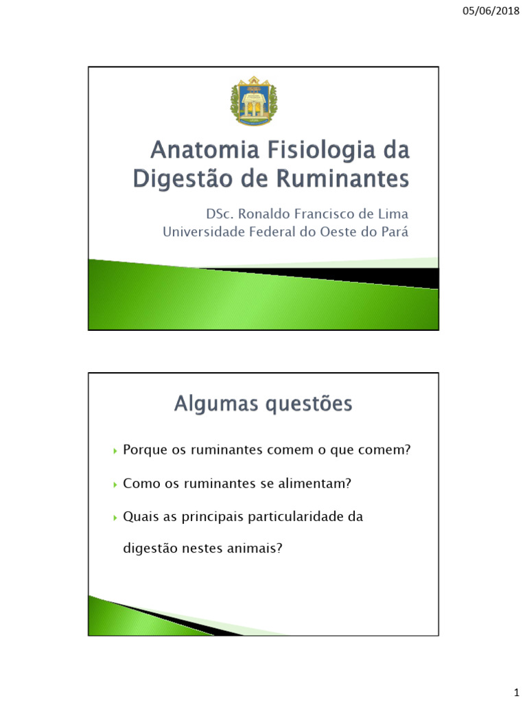 Anatomia e Fisilogia Do TGI Dos Ruminantes | PDF | Ruminante | Saliva