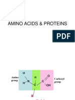 Amino Acids &amp Proteins