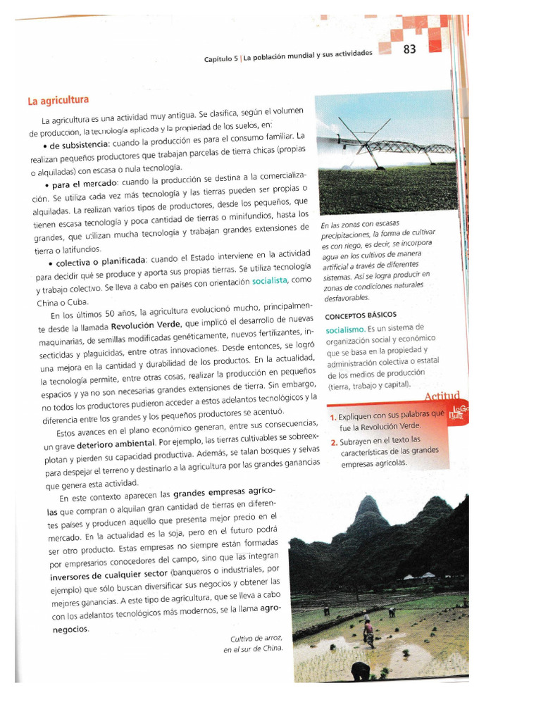 Actividades Economicas | PDF