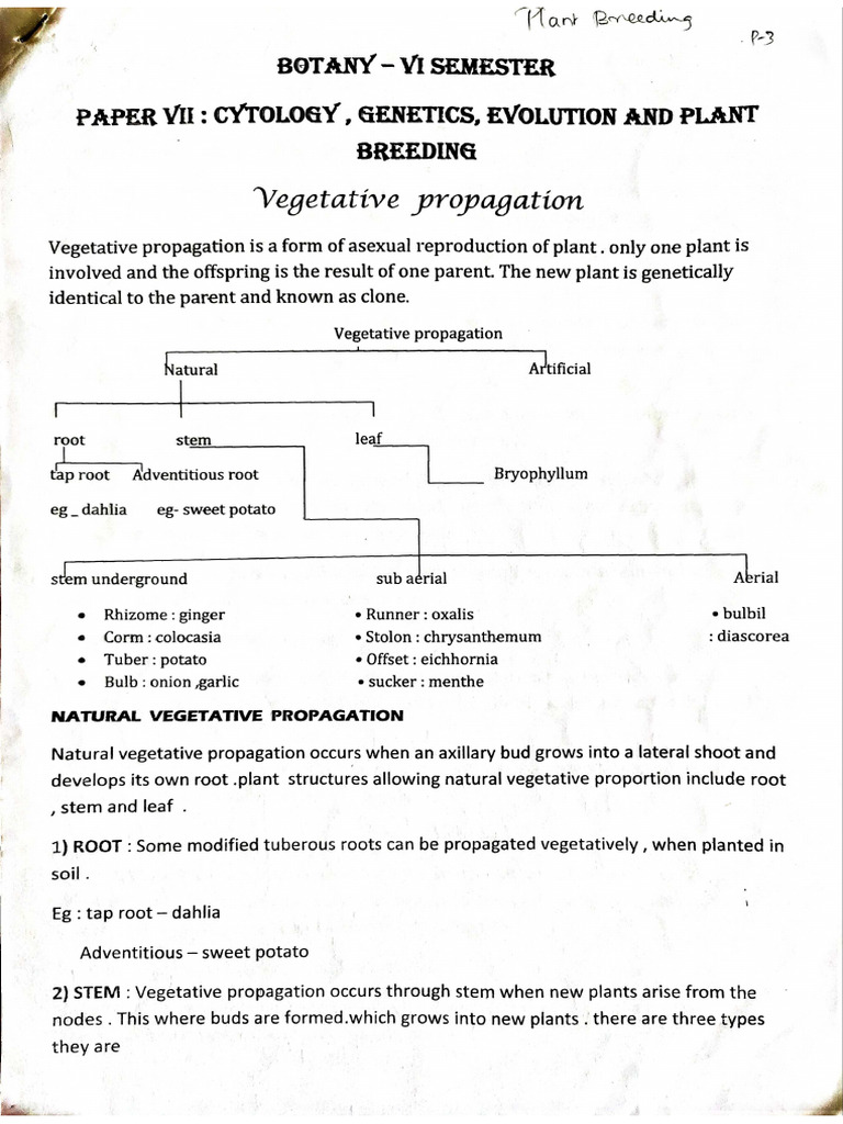 HYBRIDIZATION BASED TECHNIQUES visual data 2