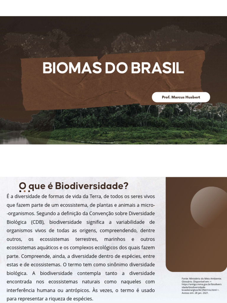 Características dos Biomas Brasileiros | PDF | Biodiversidade | Ecossistema