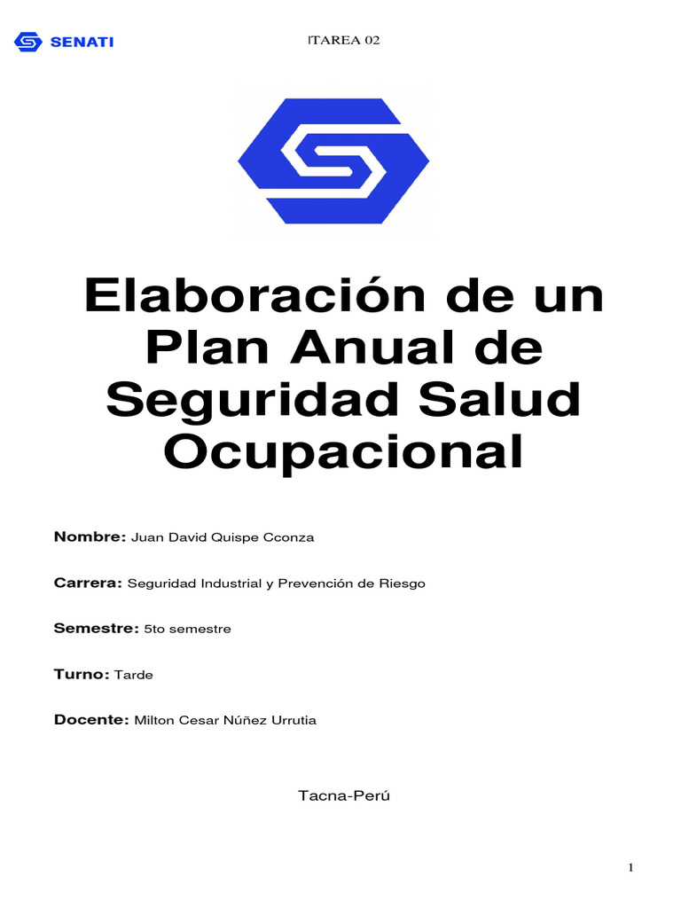 Plan Anual de Seguridad y Salud 2025 | PDF | Seguridad y salud ...
