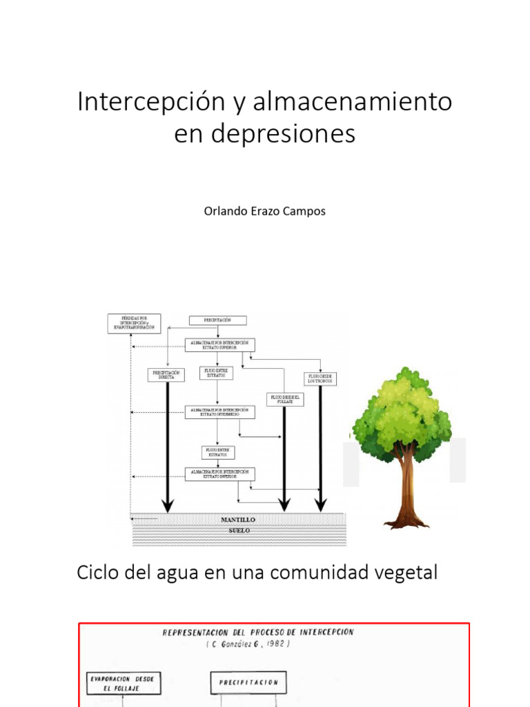 Intercepcion | PDF | Precipitación | Agua