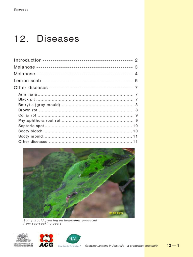 Lemon Diseases in Australia Guide | PDF | Trees | Plants