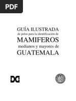 Guía Ilustrada de Pelos para La Identificación de Mamíferos Medianos y Mayores de Guatemala