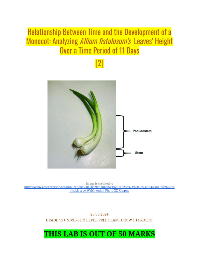 Sbi3u1-03 - Period 5 Summative Lab | PDF | Root | Leaf