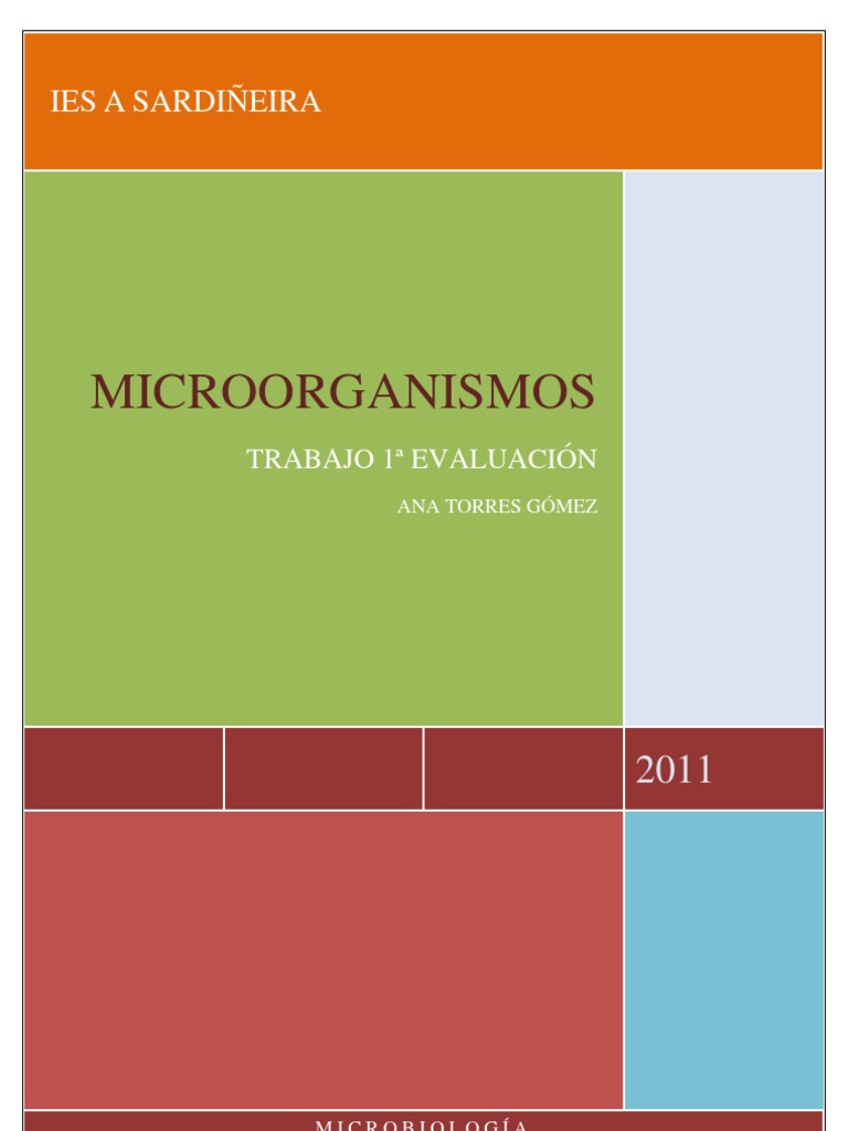 Clasificación y tipos de microorganismos | PDF | Eucariotas | Las bacterias