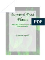 Survival Food Plants