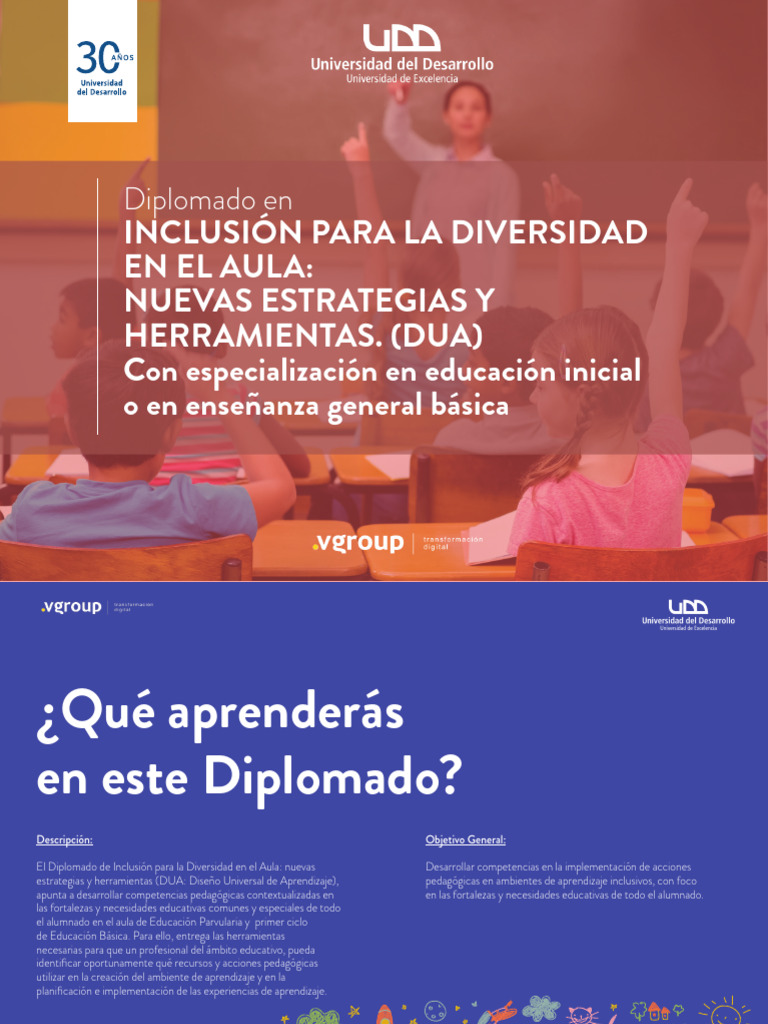 Brochure Diplomado Inclusión para La Diversidad en El Aula | PDF ...