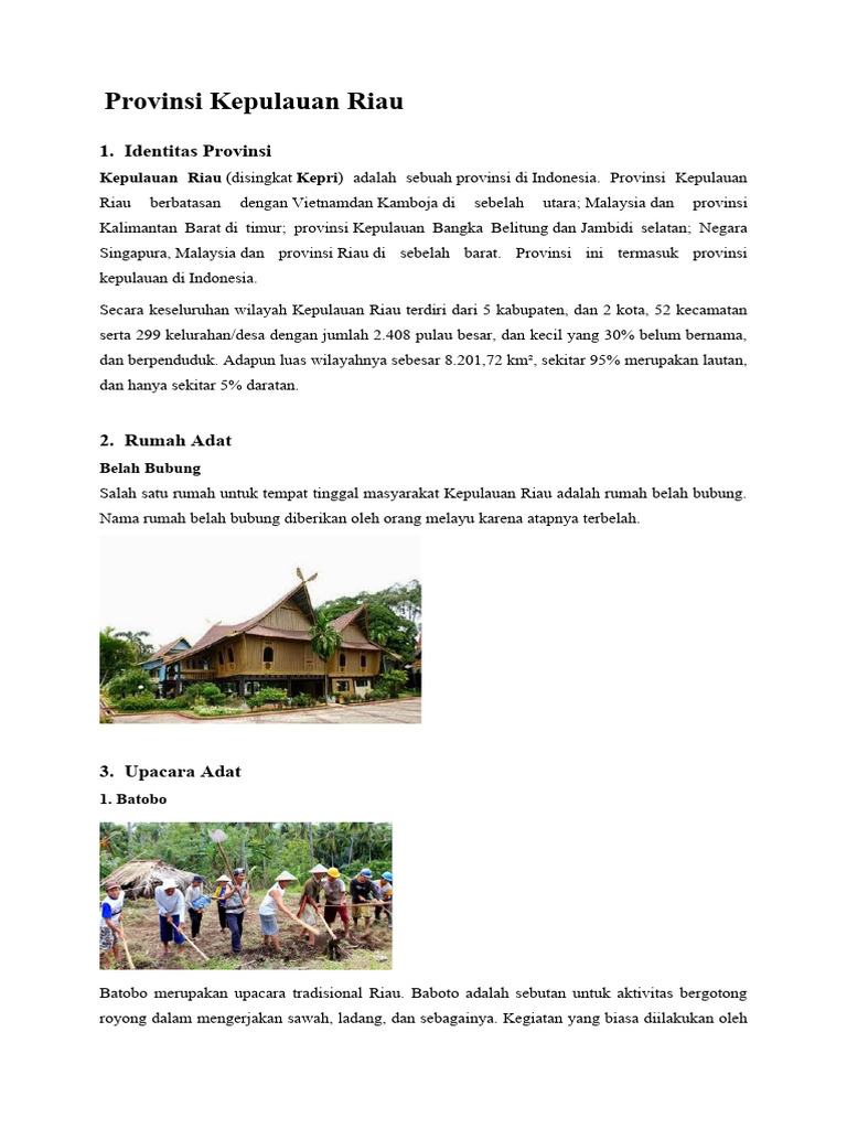 Identitas dan Budaya Kepulauan Riau | PDF