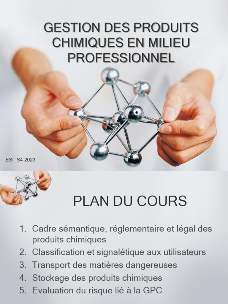 Gestion des Produits Chimiques en Milieu Pro | PDF | Transport | Chimie