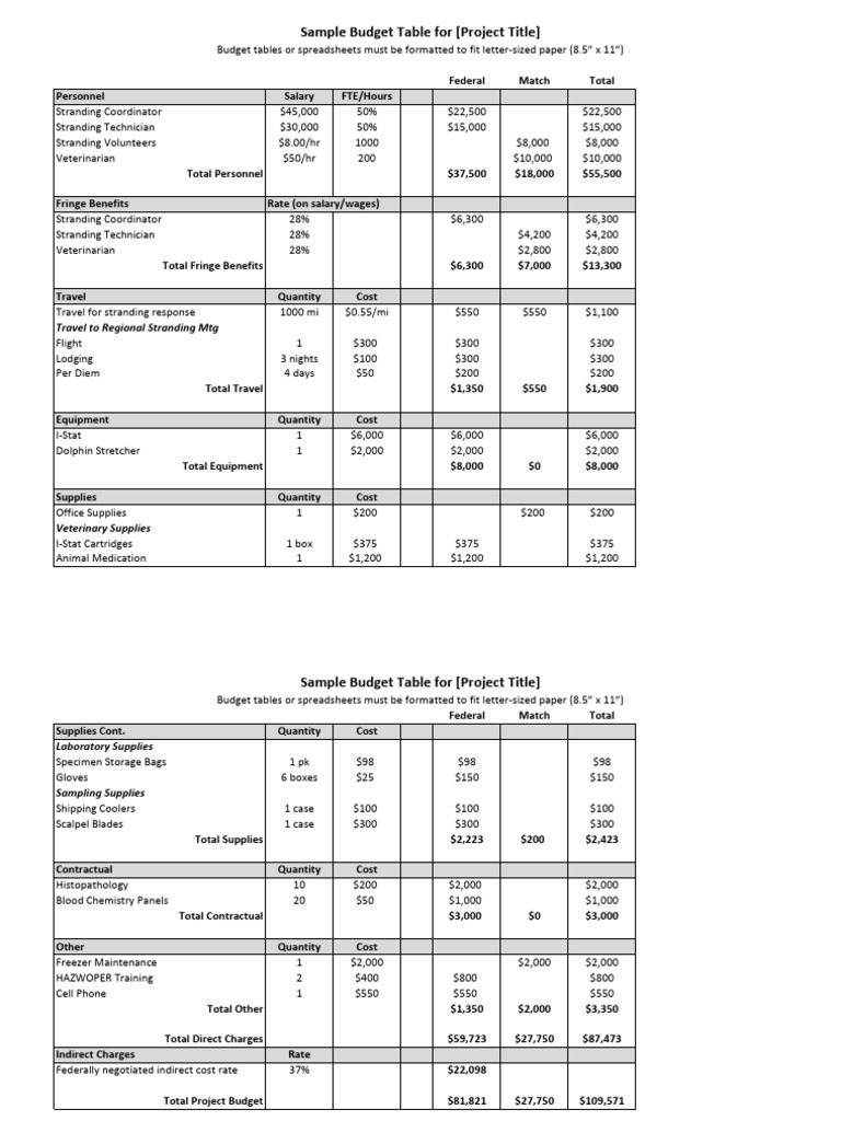 Project Budget Table Example | PDF