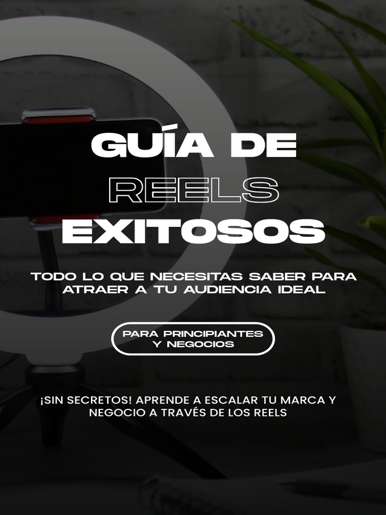 Guía de Reels | PDF | Posicionamiento en buscadores