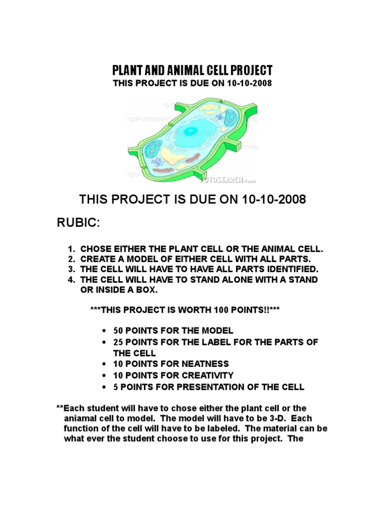 Plant and Animal Cell Project Guide | PDF