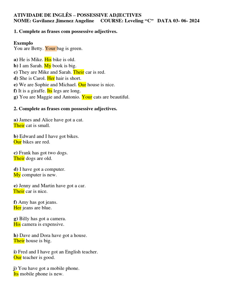 Possessive Adjectives Practice Exercise | PDF
