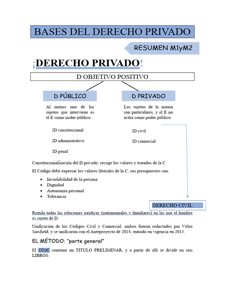 BDP - Resumen Parcial 1 | PDF | Guardián legal | Menor (ley)