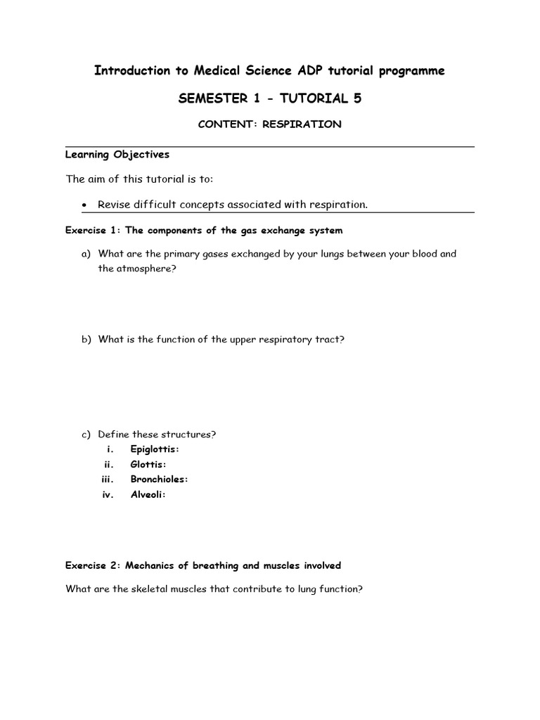 HC+ +tutorial+4+ +respiration | PDF | Respiratory System | Lung