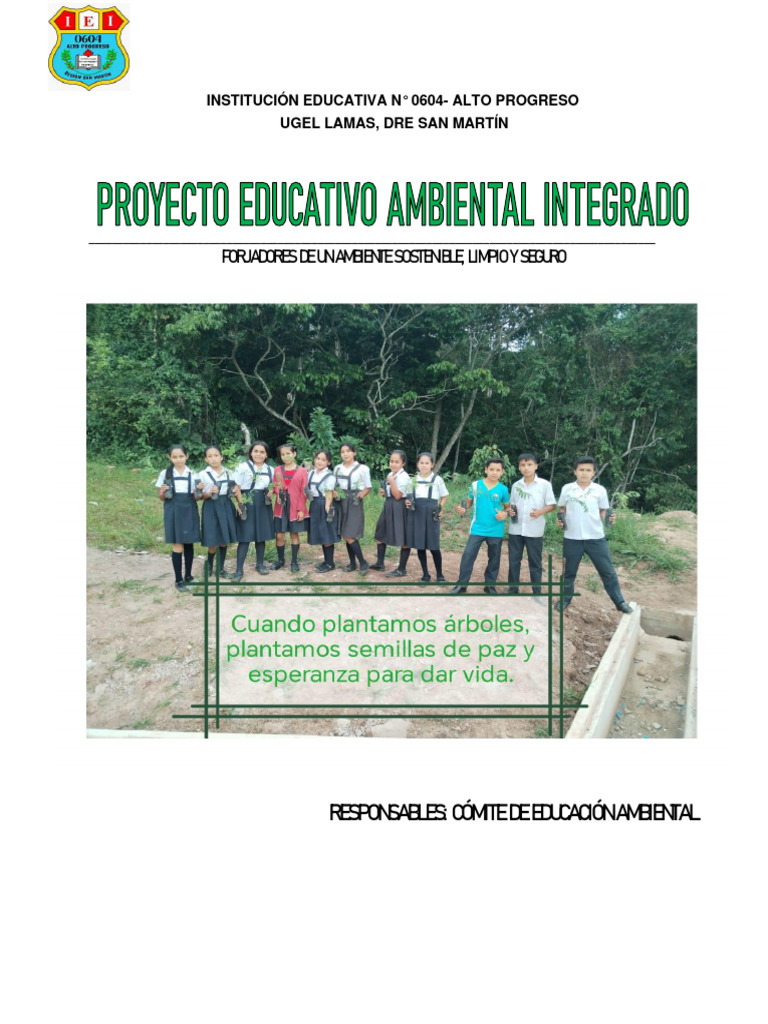 Ficha Resumen Proyecto Educativo Ambiental | PDF | Sustentabilidad ...