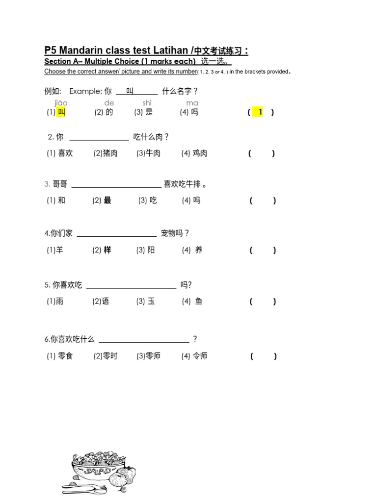 P5 Mandarin Latihan 中文考试练习 Pdf