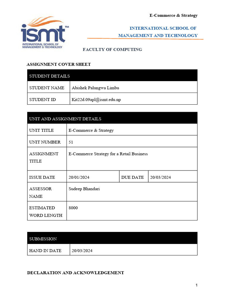 E-Commerce Strategy Assignment | PDF | E Commerce | Online Shopping