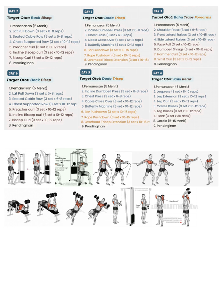 GYM | PDF