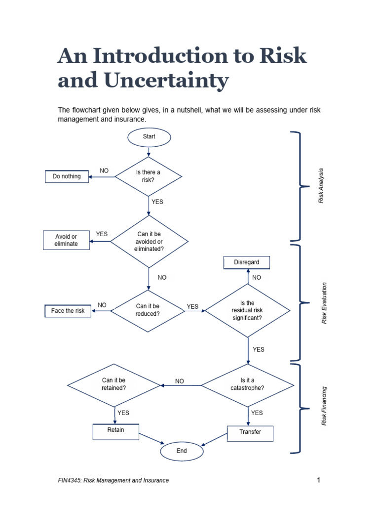 Insurance Fraud: Faking Accidents | PDF | Risk | Risk Management