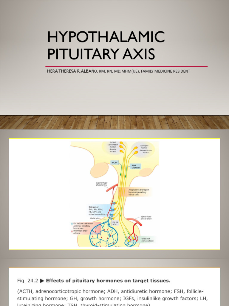 Hypothalamic Pituitary Axis PDF | PDF