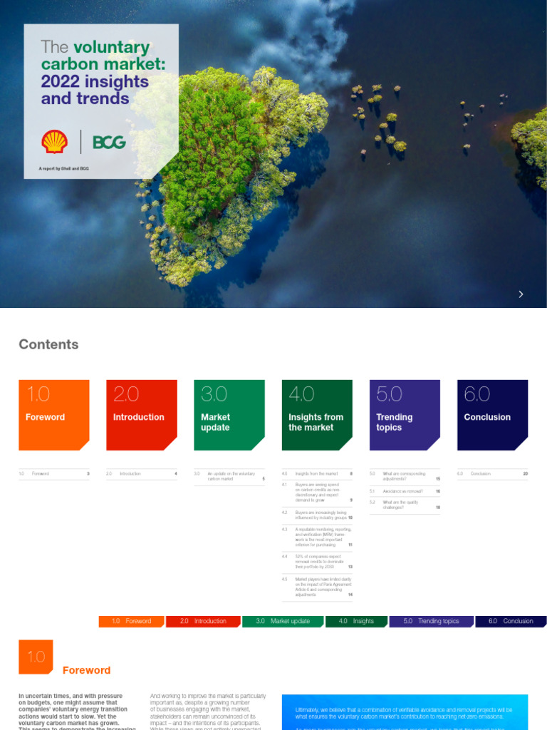 The Voluntary Carbon Market 2022 Insights and Trends June | PDF ...