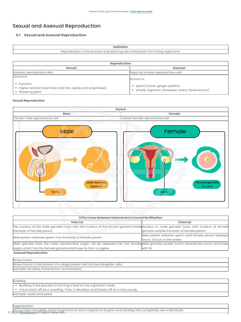 Sexual and Asexual Reproduction Explained | PDF | Sexual Reproduction ...