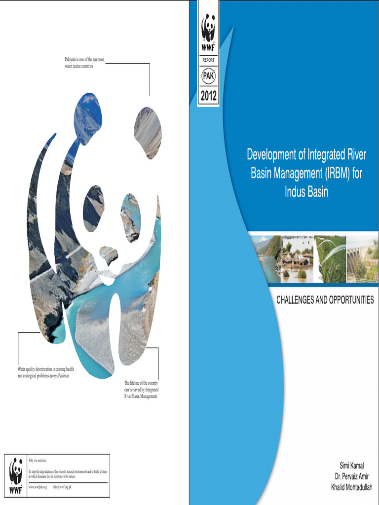 Development of Integrated River Basin Management For Indus | PDF ...