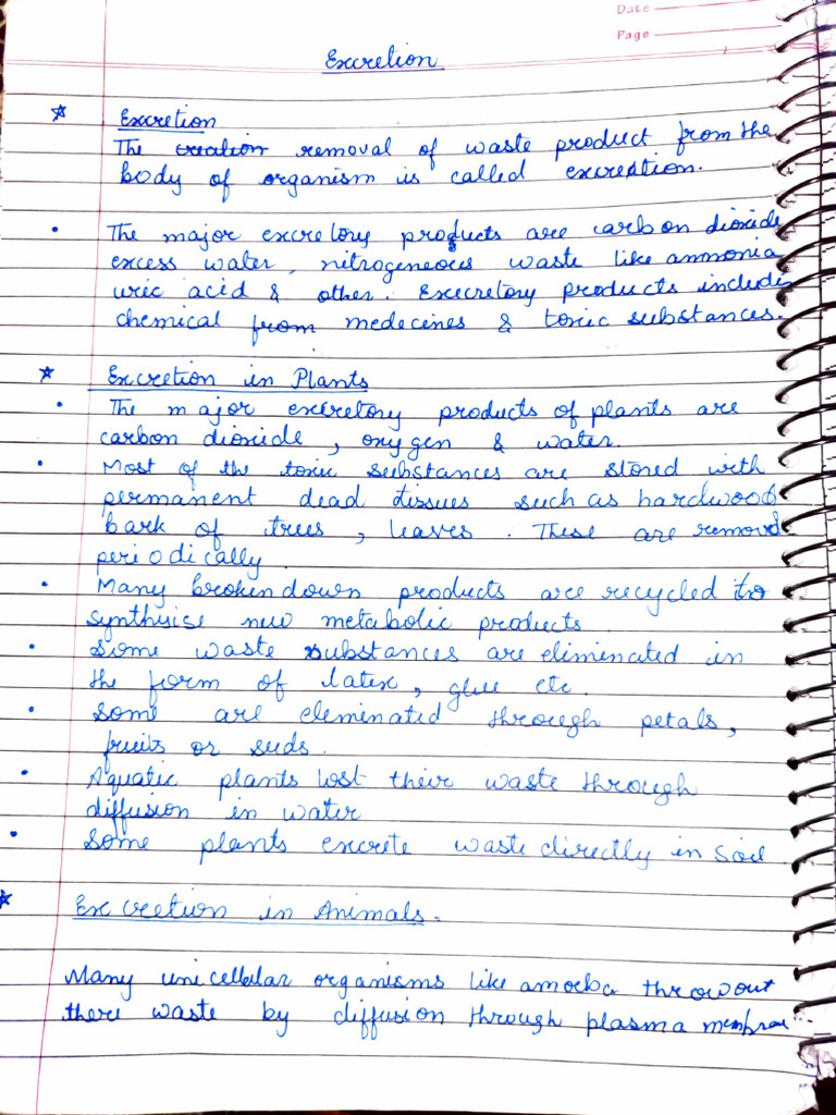 Excretion Pdf Animal Physiology Kidney