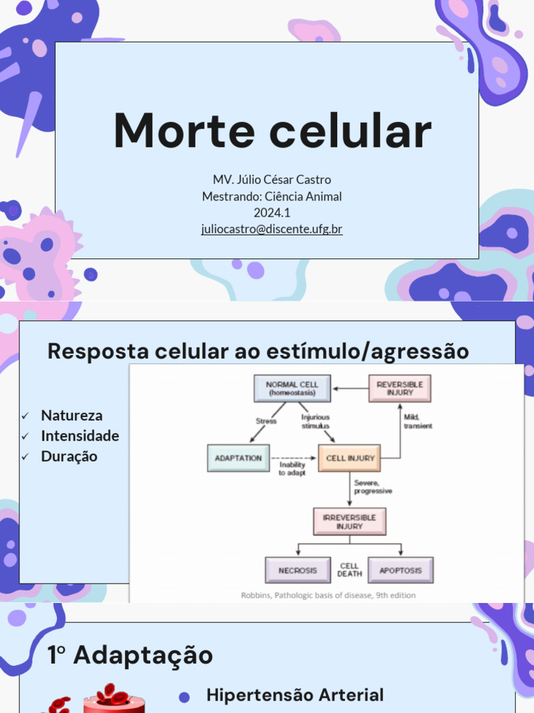 Tipos de Morte Celular: Necrose e Apoptose | PDF | Necrose | Apoptose